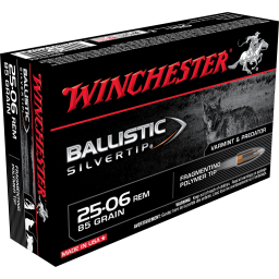 25-06 Remington