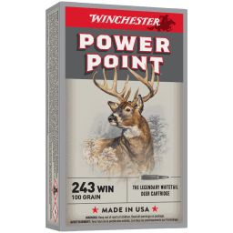 243 Winchester