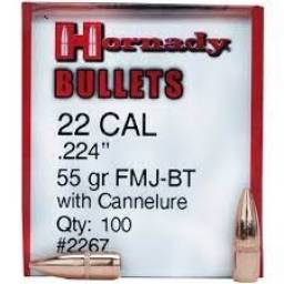 223 -  .224 - FMJ-BT 55 gr