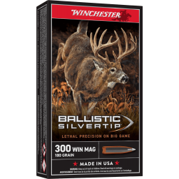 300 Winchester Magnum BST 180 Grain