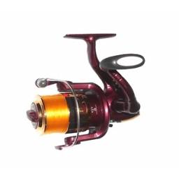 1R - 0.25mm/10 Mts