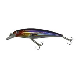 RAINBOW FISH