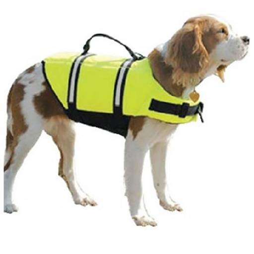MASCOTA MEDIUM