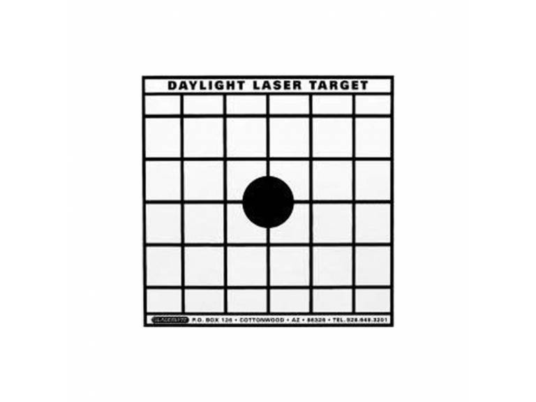 Daylight Laser Target USA