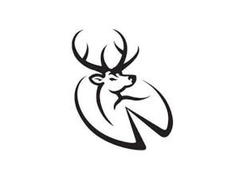 Wild Deer Hunter USA